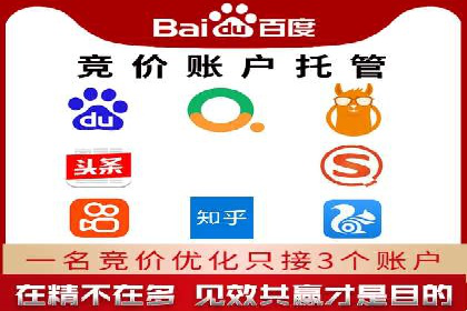 案例分析：竞价推广实战中的困境与突破